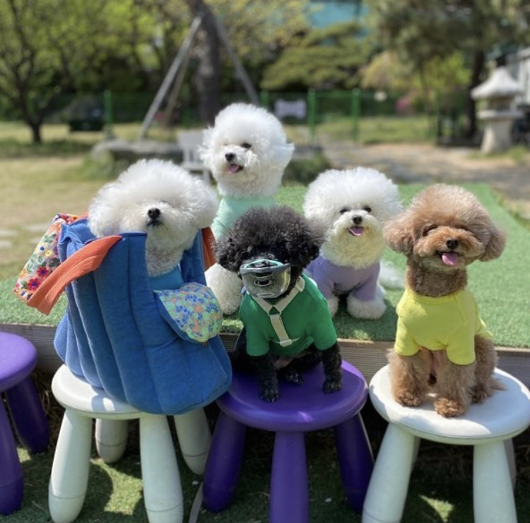 드를랭 이미지