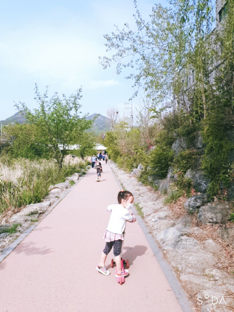 레깅스씽씽 이미지