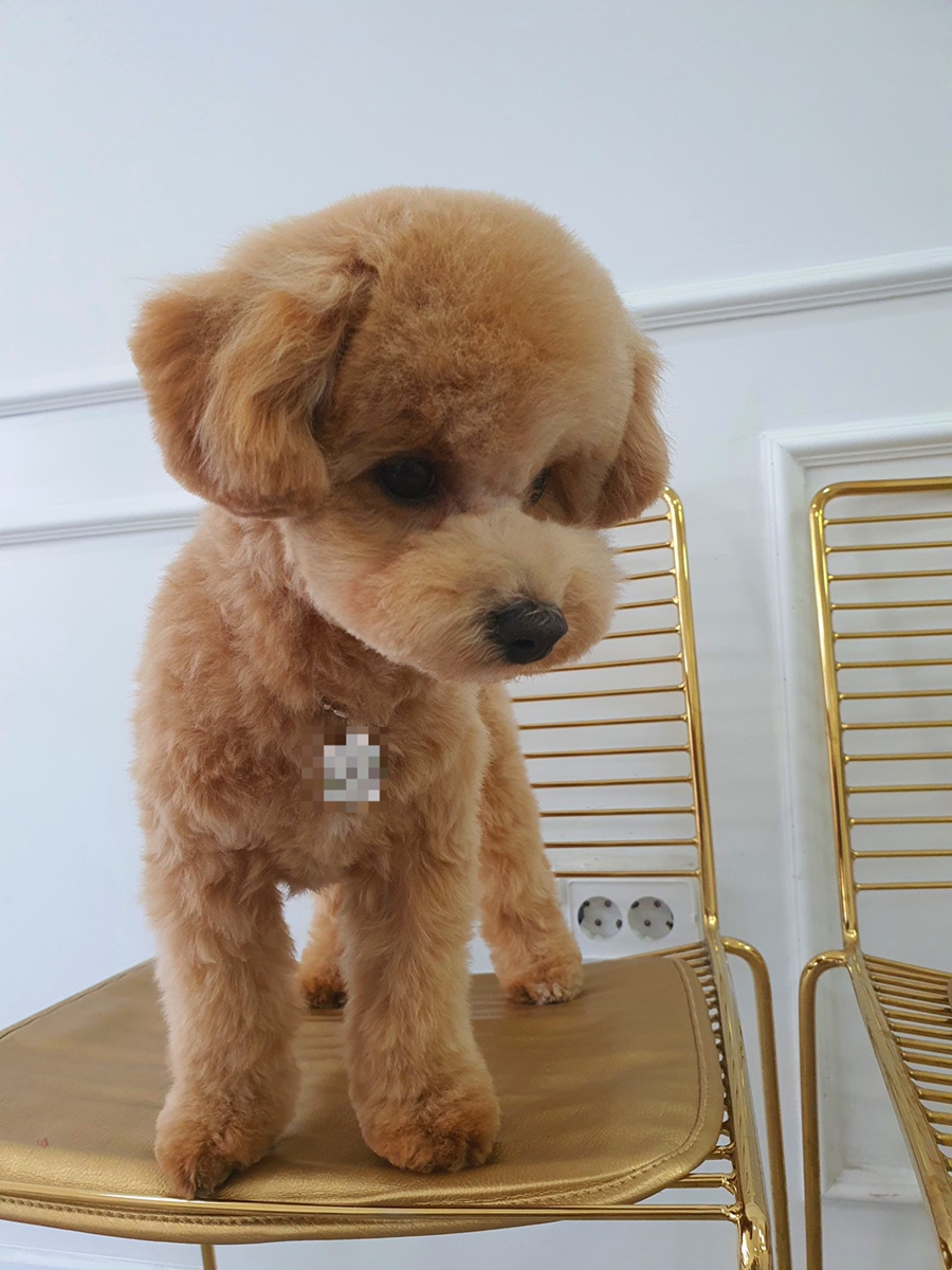 아띠살롱 이미지