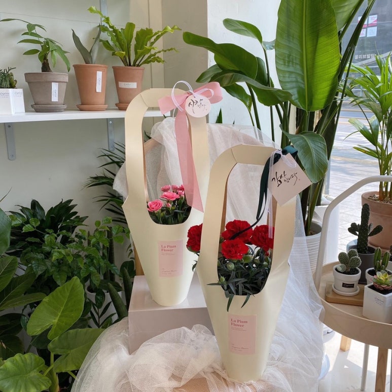 라피움 이미지