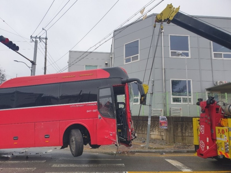 합천추레라 이미지