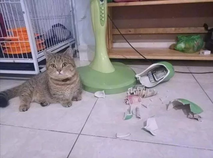 일월공방 이미지