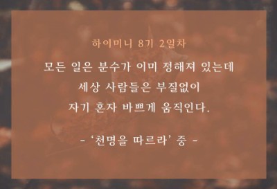 라이프 하이 이미지