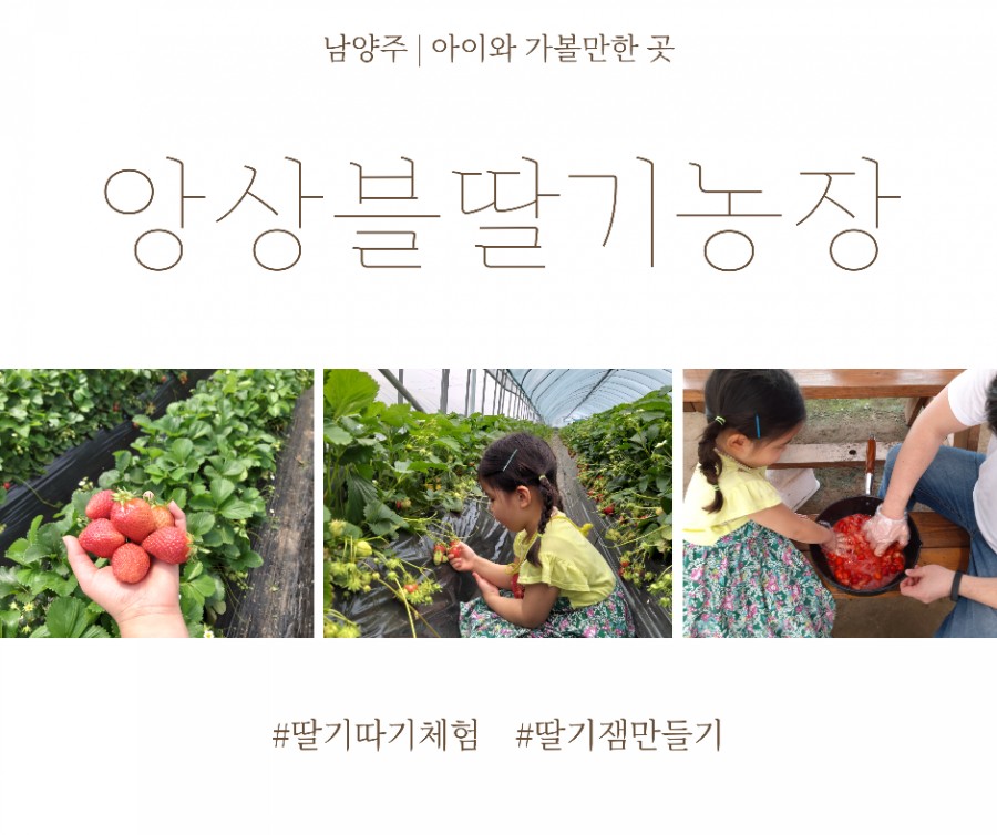 앙상블딸기농장 이미지