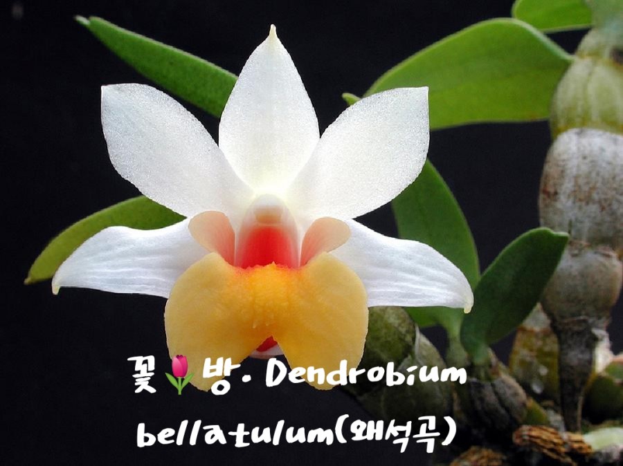석곡농협 하나로마트 이미지