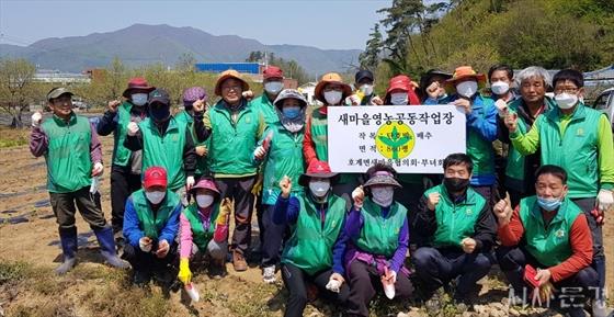 새마을 이미지
