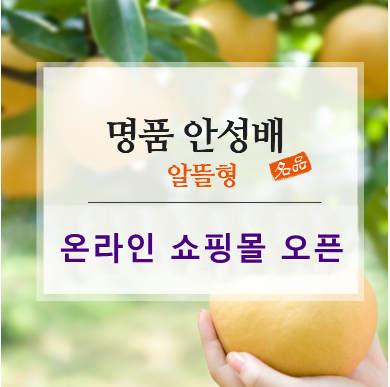 해들향 이미지