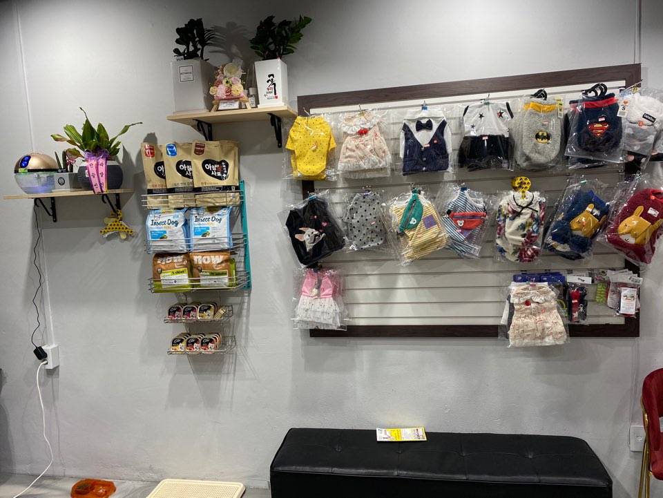멍뭉까까 이미지
