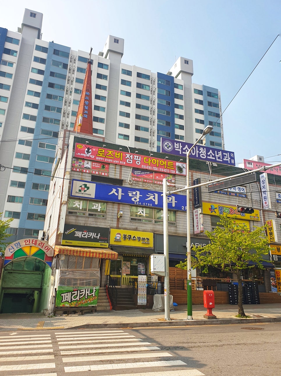 로즈비점핑다이어트 이미지