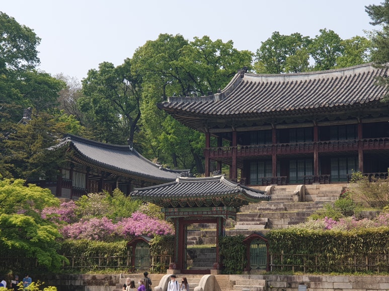 선향각 이미지