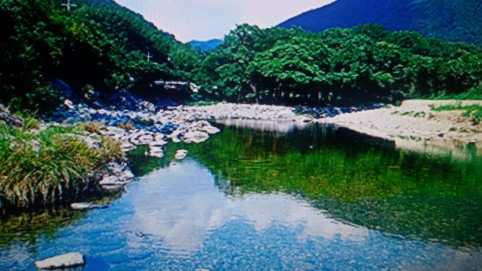 진신산업 이미지