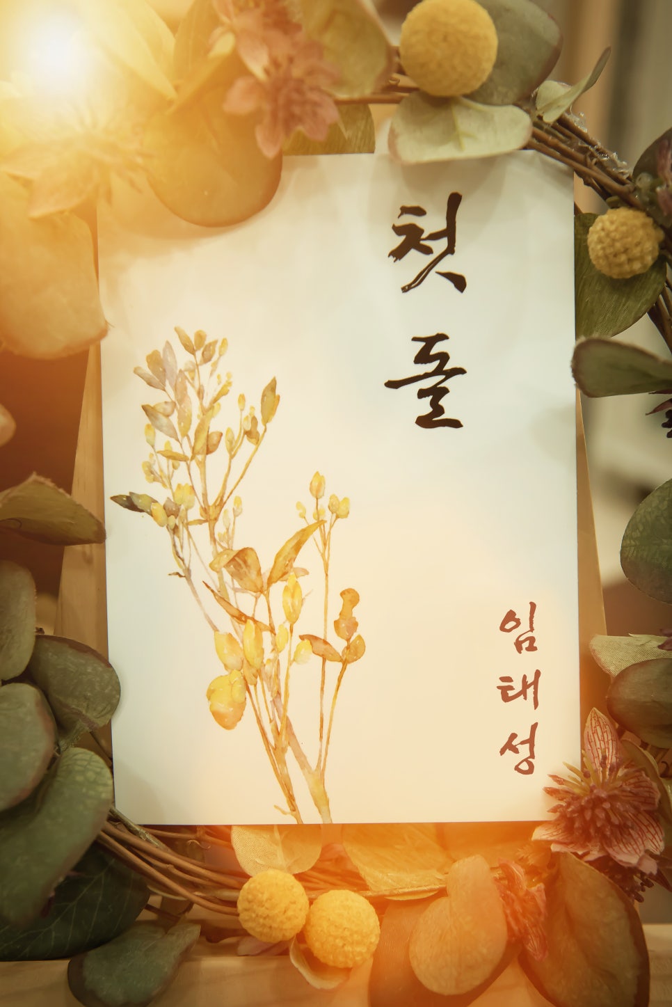 하비스튜디오 이미지