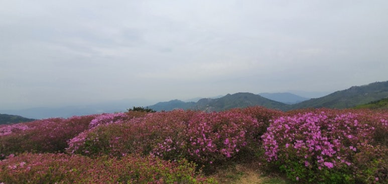 합천관광농원식당 이미지