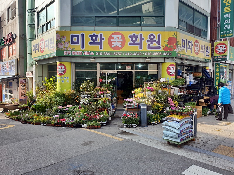 미화화원 이미지