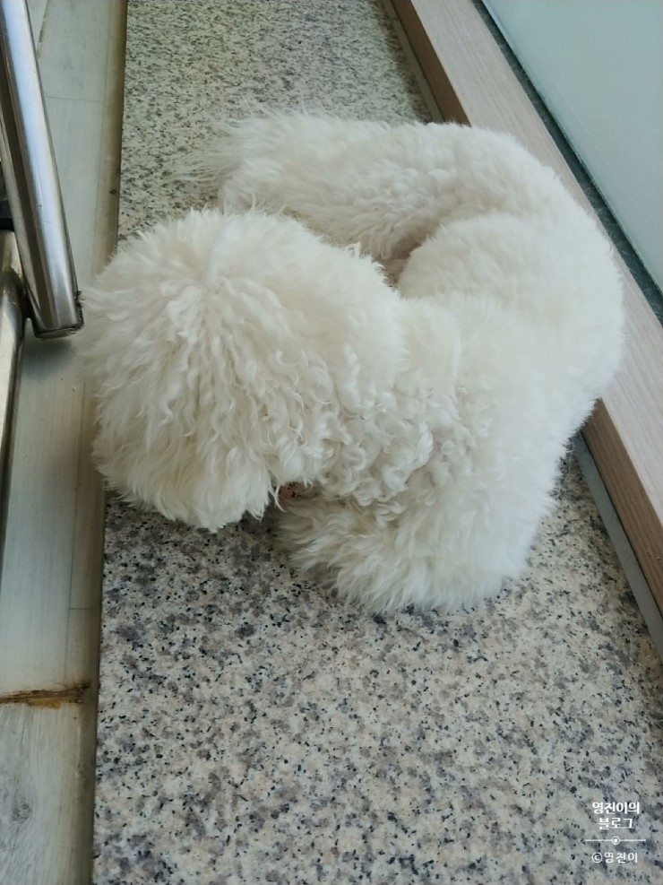 청려원 이미지