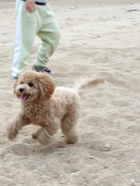 자두식당 이미지