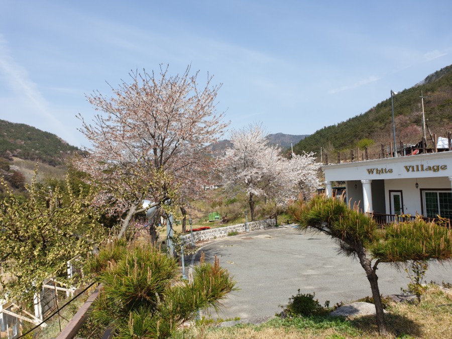 순천만강변펜션 이미지