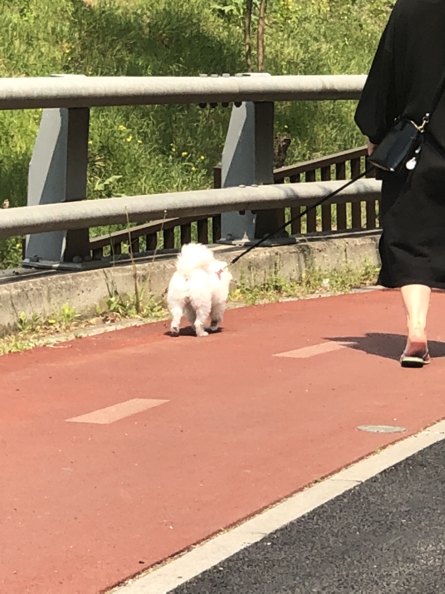 아임그래놀라 이미지