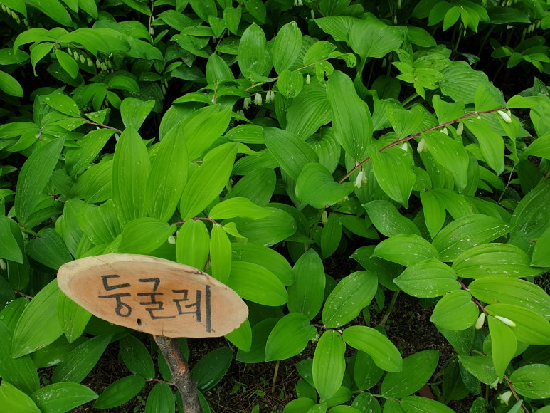 선향각 이미지