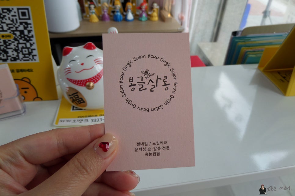 봉글살롱 이미지