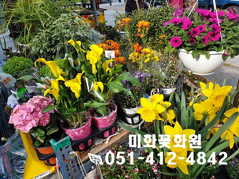 미화화원 이미지