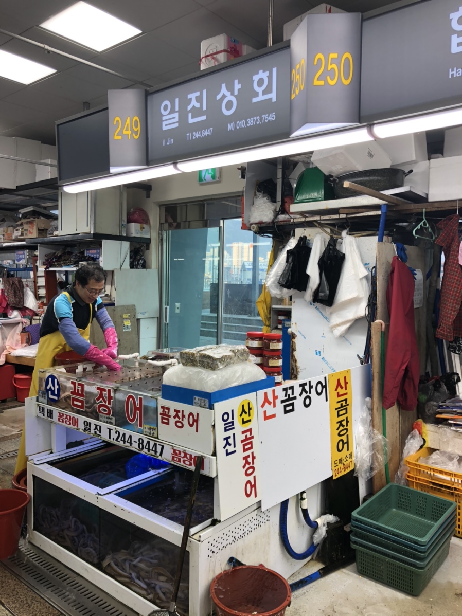 일진상회 이미지
