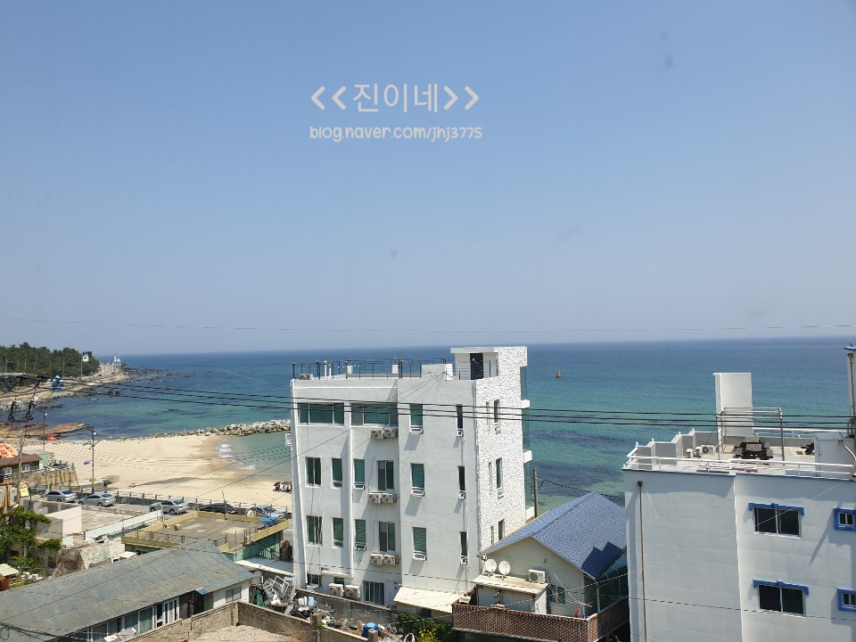 어달해바라기 이미지