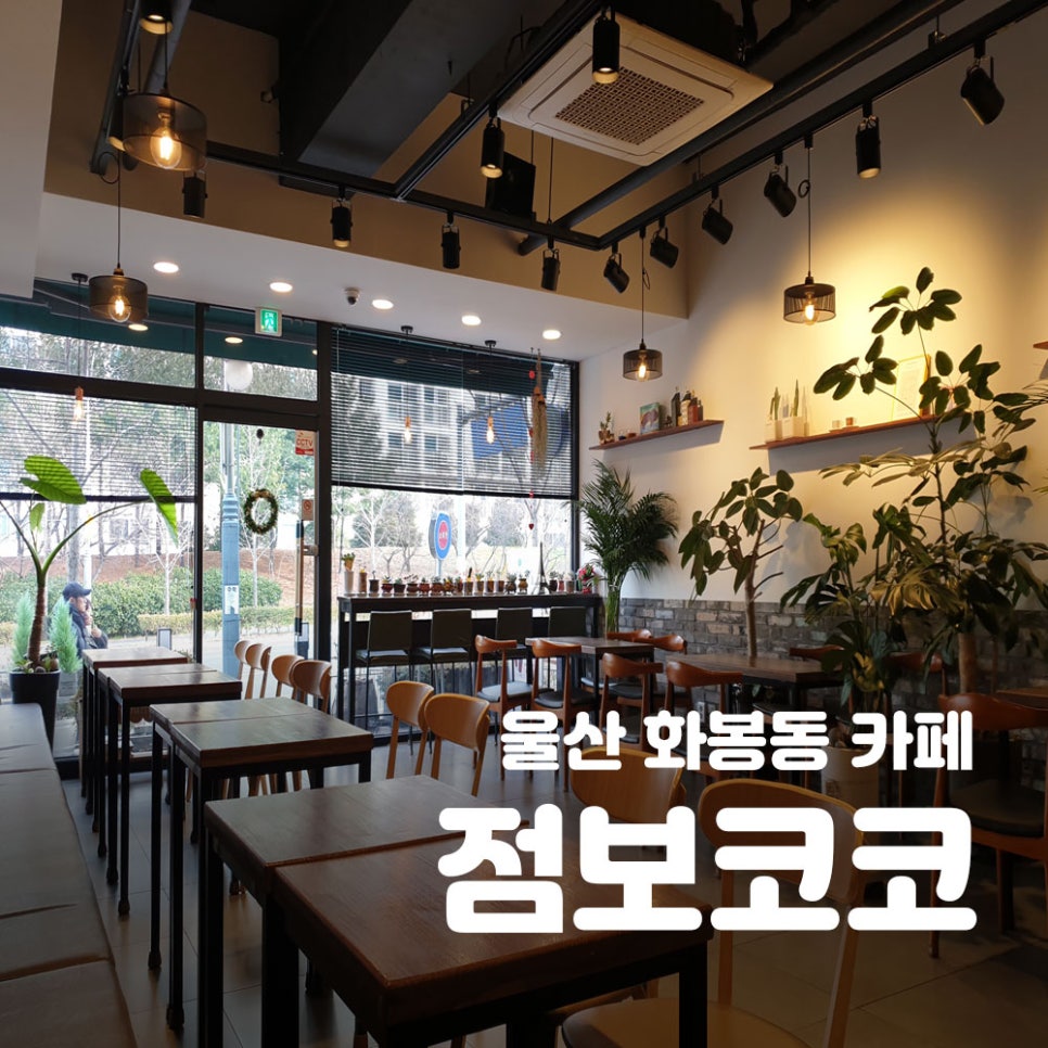 카페점보코코 이미지