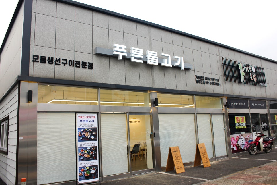 생선의민족 이미지