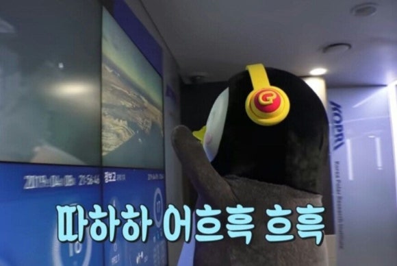 풀282 이미지