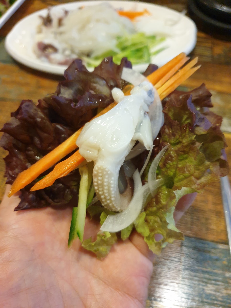 싱싱오징어바다 이미지