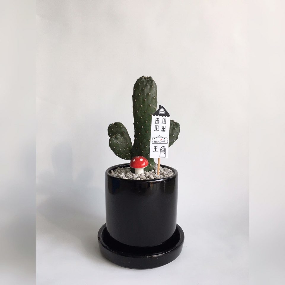 향록원 이미지