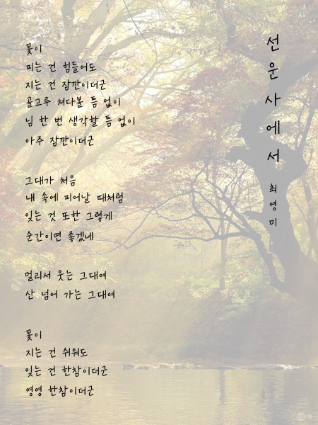청정수산풍천장어 사진 7