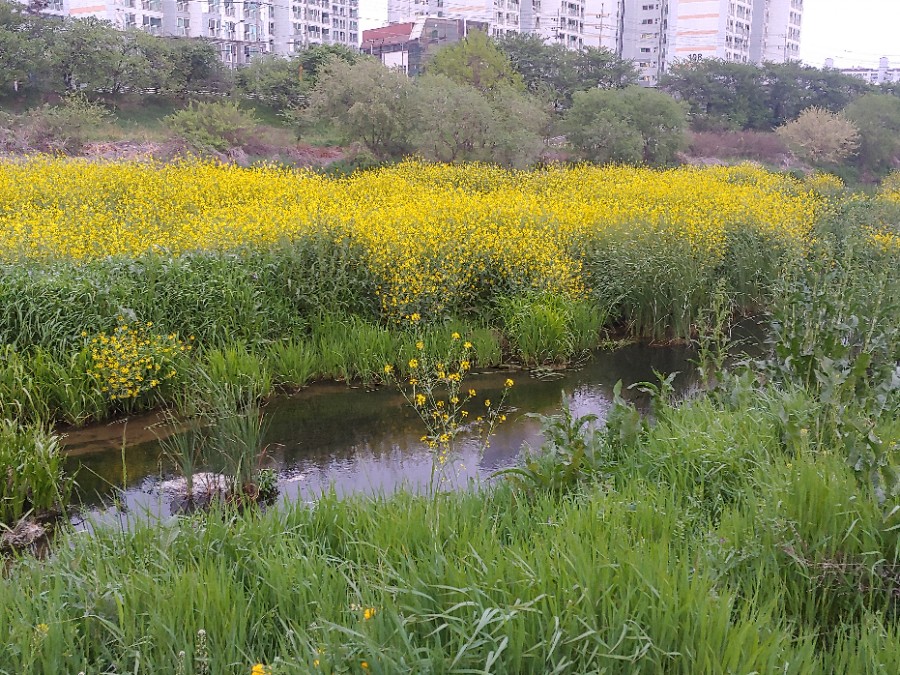 산림조합주유소 이미지