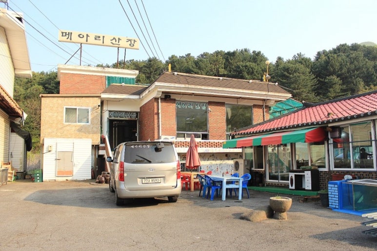 메아리 캠핑장 이미지