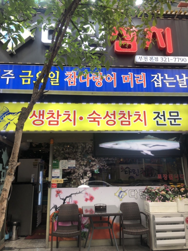 다린참치 이미지
