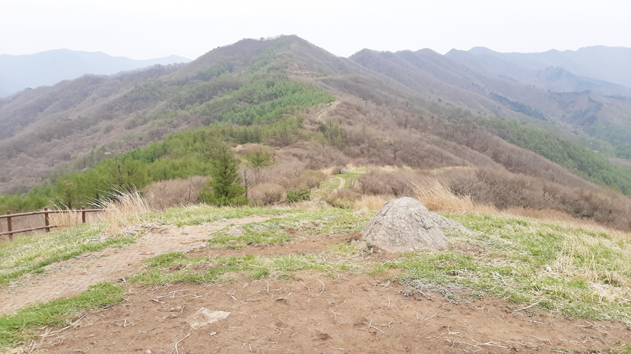 몽달 이미지