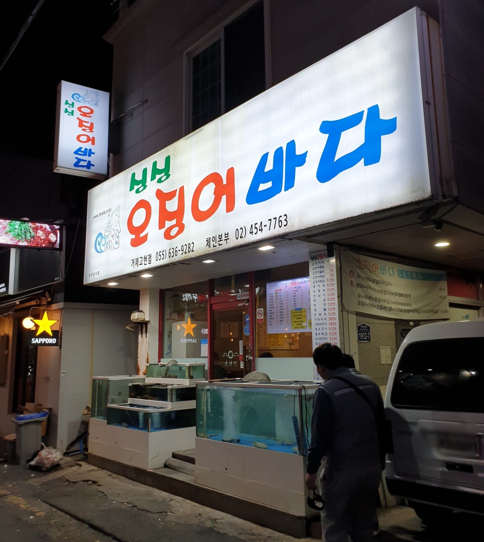 오징어바다 이미지