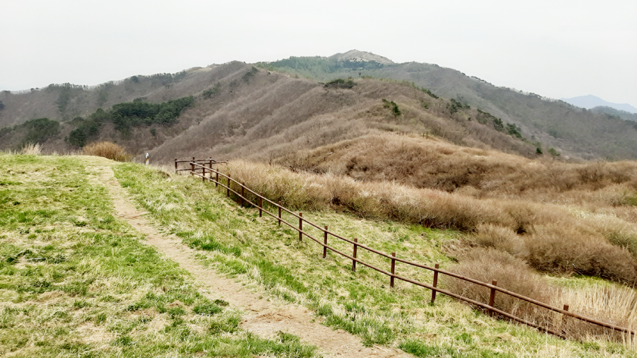 몽달 이미지