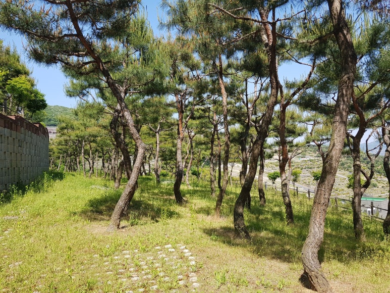 분당수목장 이미지