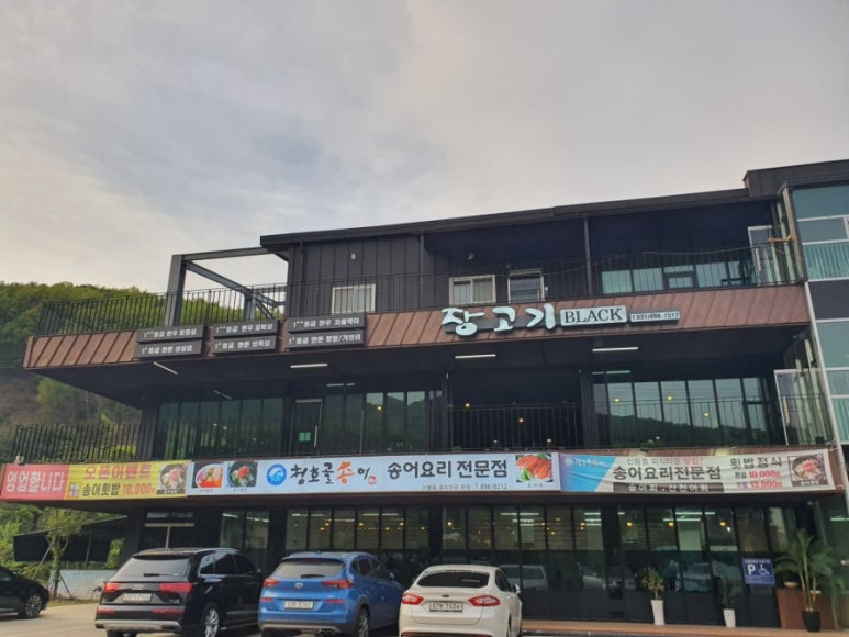 장고기 이미지