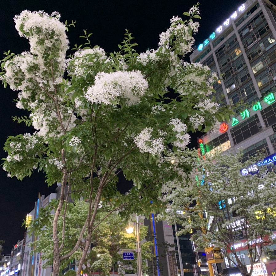 하루분식 이미지