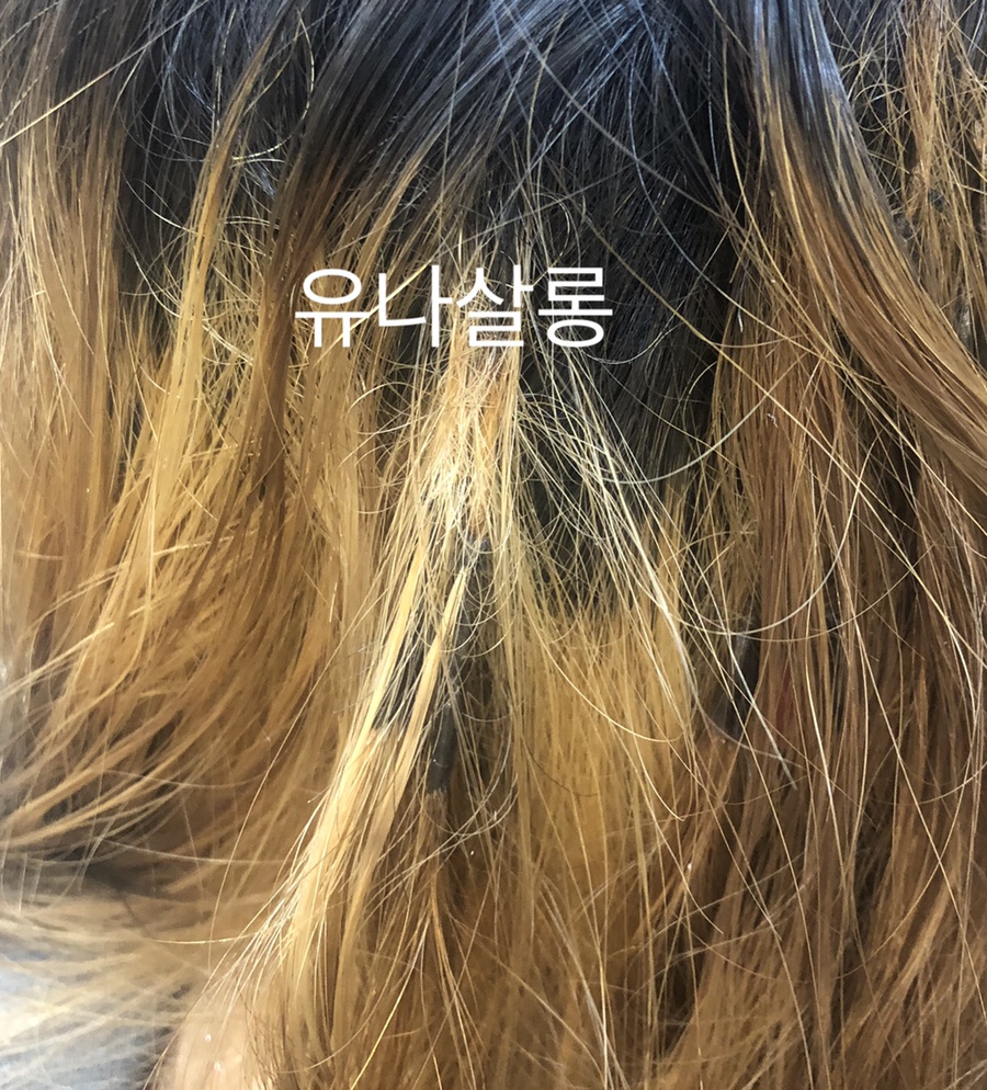 유나살롱 이미지