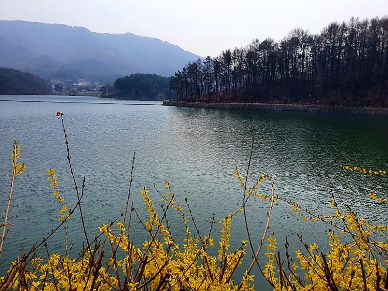 고모리저수지 이미지