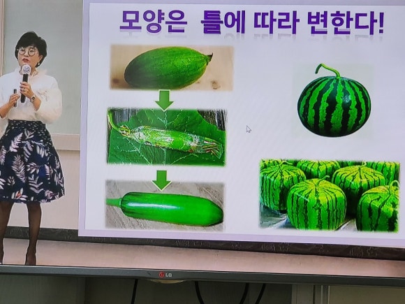 에띠모와 에띠임 이미지