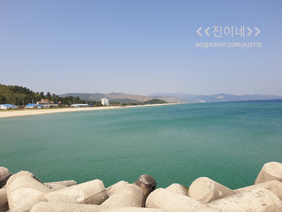 어달해바라기 이미지
