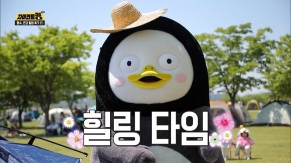 풀282 이미지