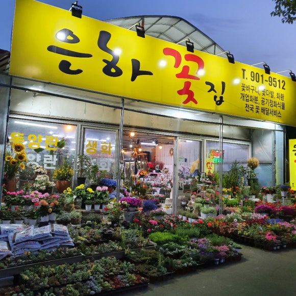 은하꽃집 이미지