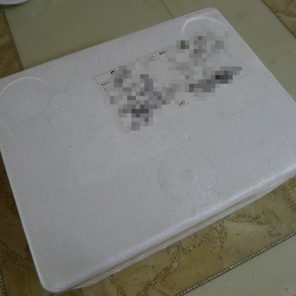 샌치한 언니 이미지