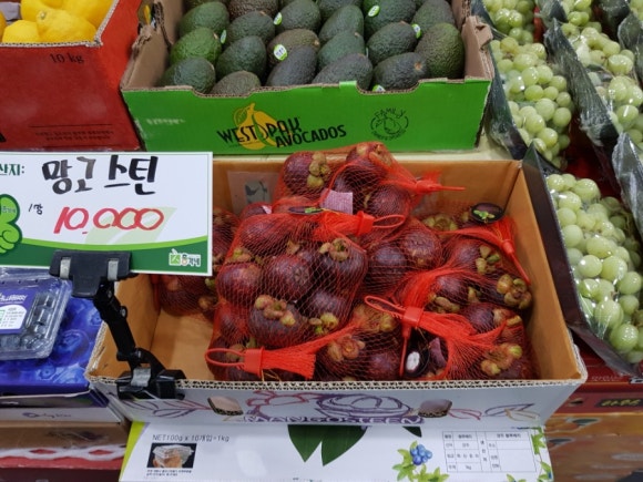 총각네수지 이미지